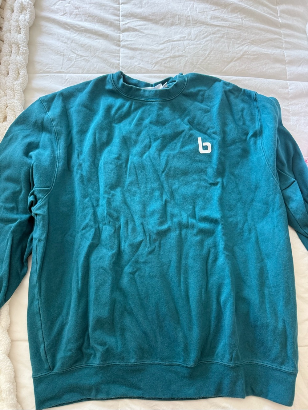 Teal Crewneck Sweatshirt with Small Logo